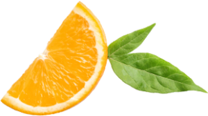 aa